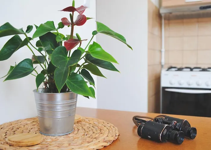 Appartement Rybna - Kraslice